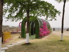 -广州莲花山旅游区