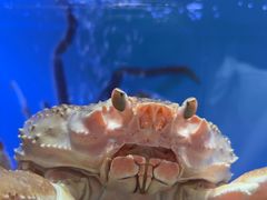 -阿伟海鲜楼·福建菜(延寿店)