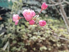 -徐家汇源景区-衡山公园