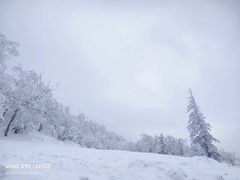 -美俪家族(巴黎都市店)