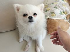 -怪兽屋·羊驼·猫咖·狗咖(俊华广场店)