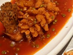 松鼠大桂鱼-绿波廊(豫园店)