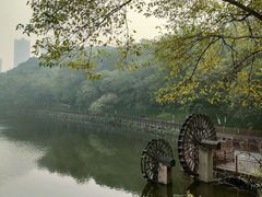 -重庆彩云湖湿地公园