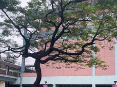 -香港科学馆