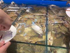 -甄品麦哲伦海鲜和牛自助(万达广场店)