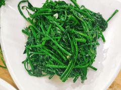五指山野菜-刘记糟粕醋海鲜烧烤