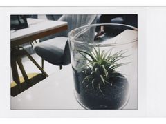 -Fridi Patisserie Cafe