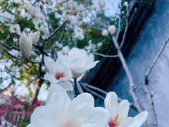 -乌山风景区