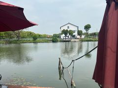 -水岸居湖景农家乐·阳澄湖大闸蟹