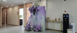 -上海伊莱美医疗美容医院