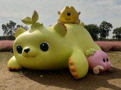 -嘉北郊野公园