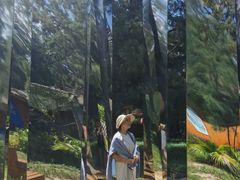 -北海金海湾红树林生态旅游区