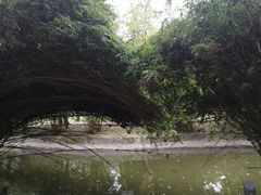 -西南交通大学(九里校区)