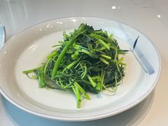 -黛瓦里·花园飨宴
