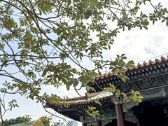 -珠海圆明新园