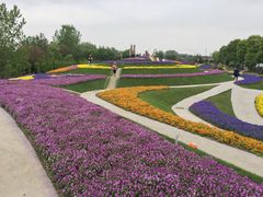 -南通洲际绿博园