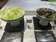 -太湖饭店玉兰厅(自助餐厅)