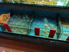 水产区-海大大蒸汽海鲜餐厅·粤菜·特色小炒(欢乐颂店)