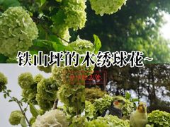 -铁山坪森林公园