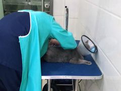 -佳雯宠物医院(金华南路分院)