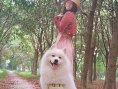 -蜀冈西峰生态公园