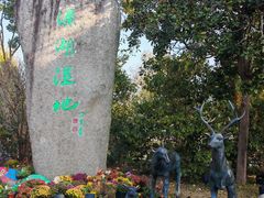 -溱湖国家湿地公园