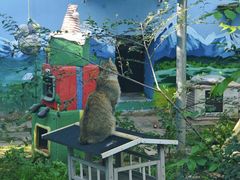 -青藏高原野生动物园