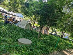 -金鸡湖景区