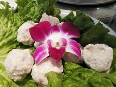 墨鱼丸-健晟星期天