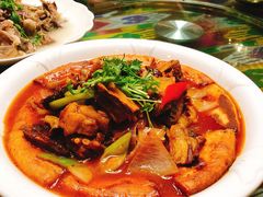 -新疆食府(华龙店)