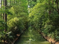 -同里国家湿地公园