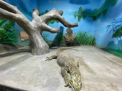 -石家庄市动物园