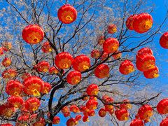 -八大处公园