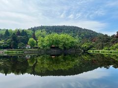 -庐山风景区花径公园