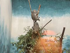 -广州长隆野生动物世界