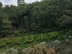 -深圳国际园林花卉博览园