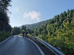 -武陵山森林公园