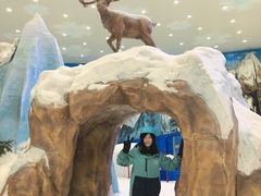 -长沙湘江冰雪世界