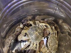 -芭菲盛宴·环球美食(北城国际店)