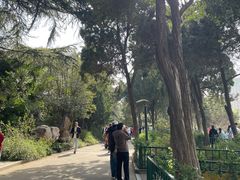 -西苑公园