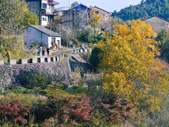 -四明山国家森林公园
