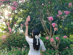 -杭州城北体育公园