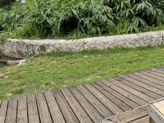 -成都市活水公园
