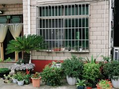 -南汇老顾农家乐采摘大团水蜜桃采摘店