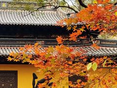 -普陀山风景名胜区-法雨禅寺