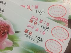 -南国桃园旅游度假区