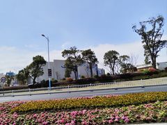 -枸杞岛
