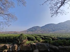 -中国茶叶博物馆(双峰馆区)