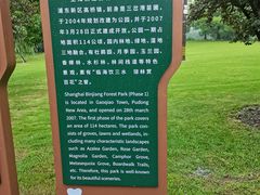 -上海滨江森林公园