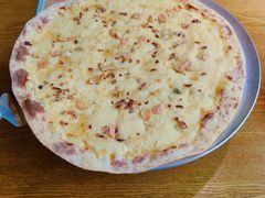 戈贡左拉披萨-机器人火炉披萨